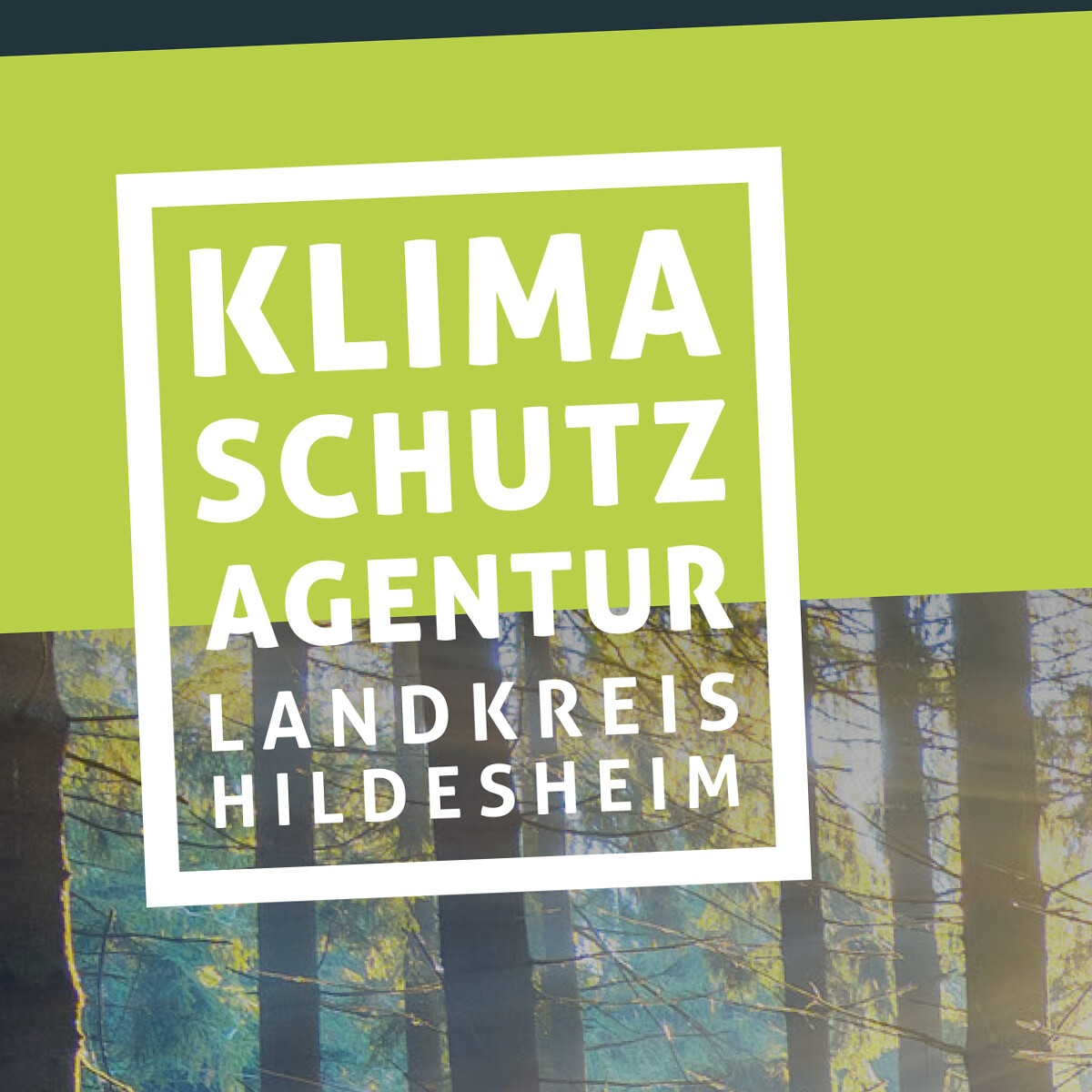 (c) Klimaschutzagentur-hildesheim.de