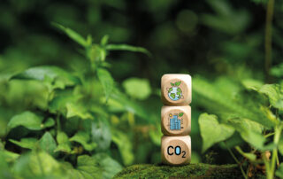 drei Würfel aus Holz, übereinandergestapelt in der Natur. Auf den Würfelvorderseiten ist jeweils eine Illustration zum Thema Klimawandel abgebildet.