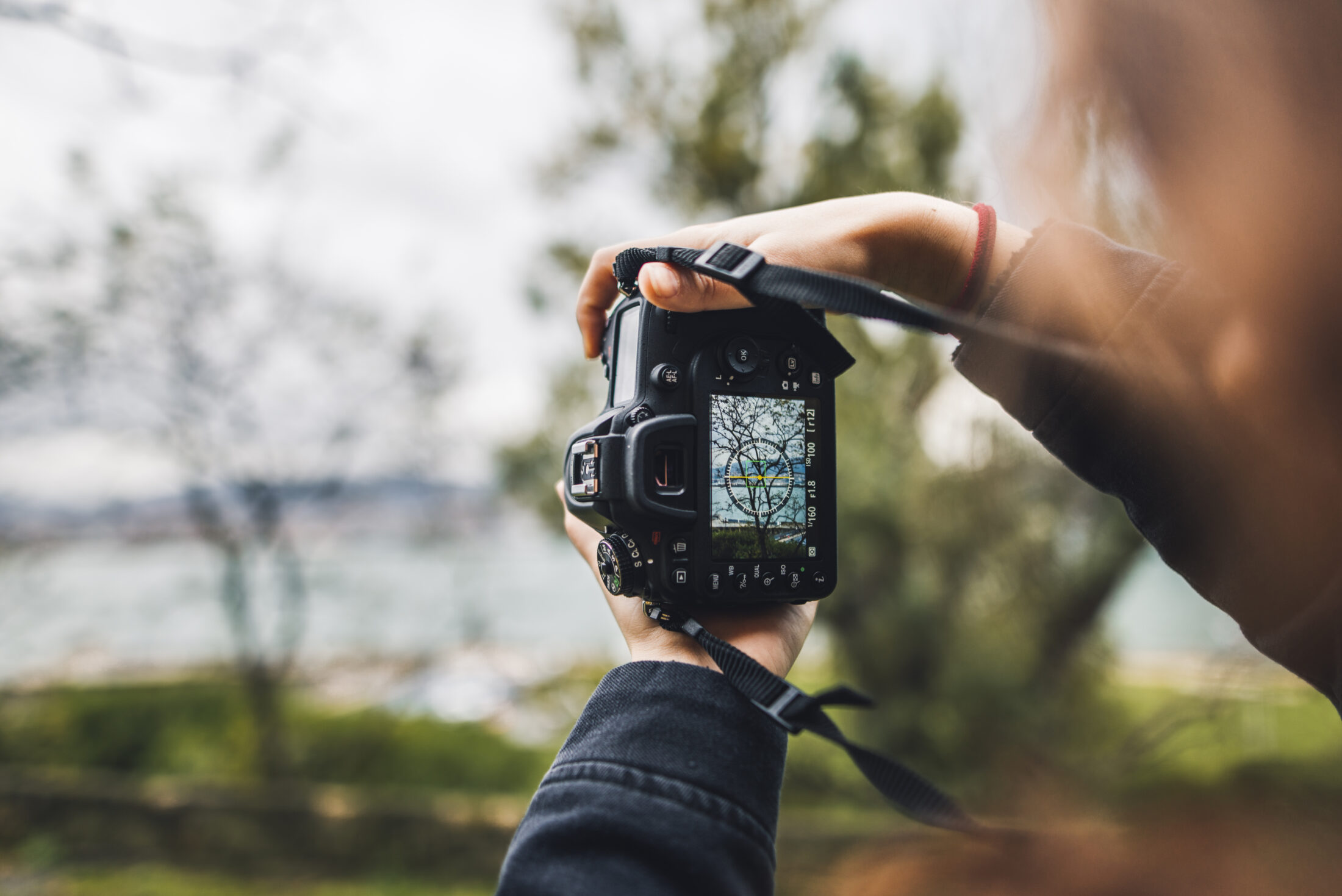 Camera capturing a forest
